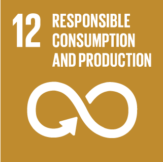 Responsible Consumption