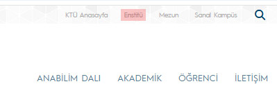 Anabilim Dalı - Enstitü Linki