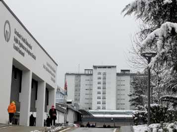 Farabide Kar