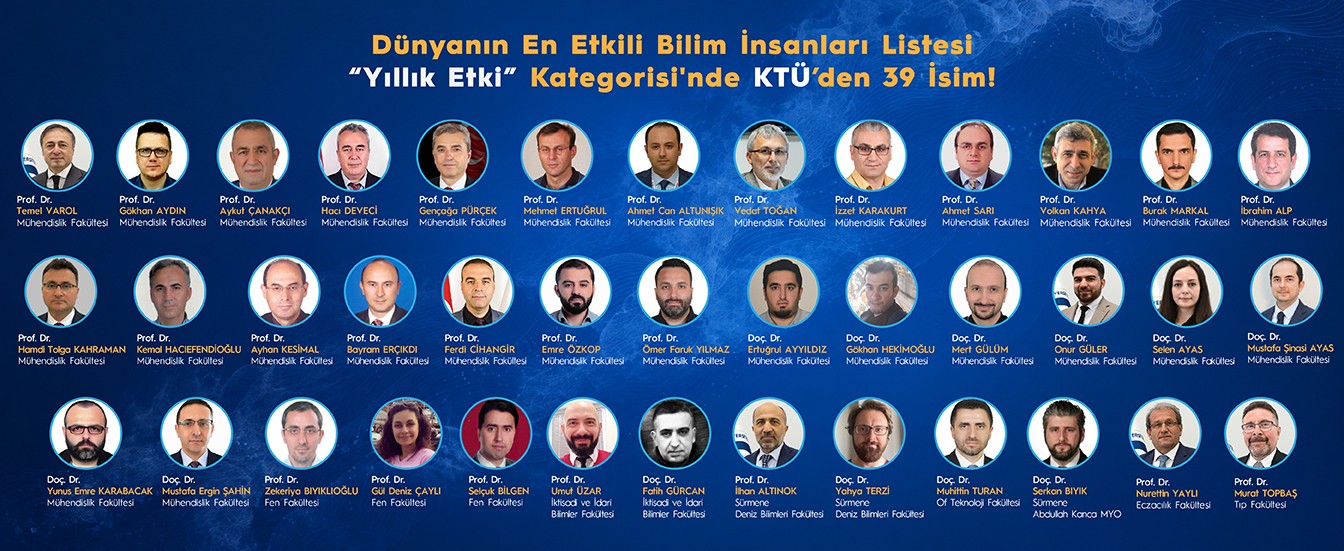 Yıllık Etki Kategorisi
